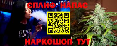 мдпв Моздок