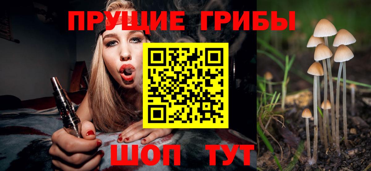 Ярославль  Галлюциногенные грибы Psilocybine cubensis  Вход с VPN 