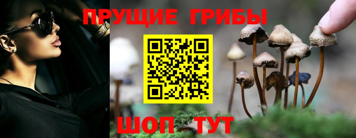 Псилоцибиновые грибы прущие грибы Ярославль